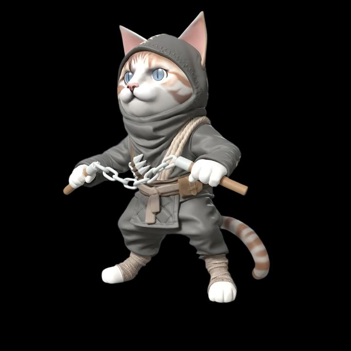 Grass Hopper - Ninja Cat with Nunchaku