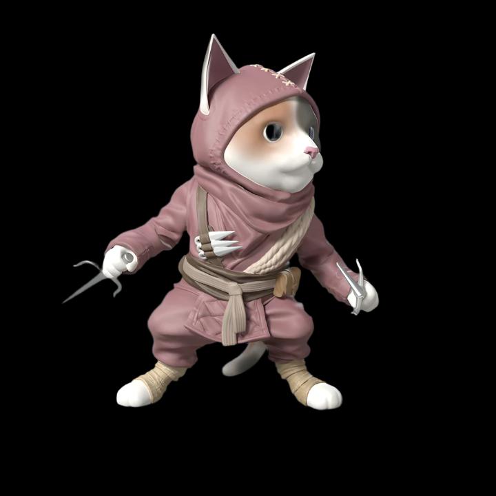 Grass Hopper - Ninja Cat with Sai