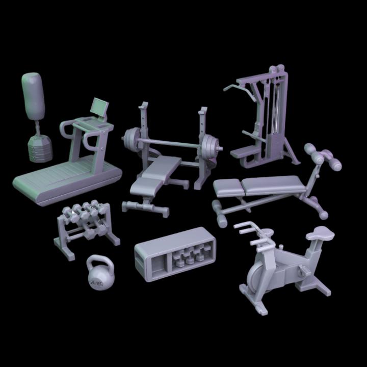 TF004 Modern Gym equipment