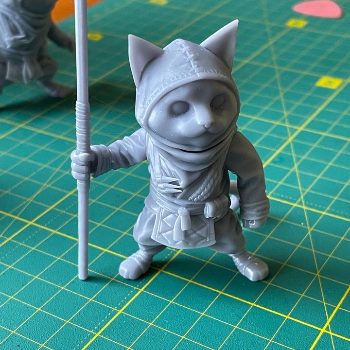 Grass Hopper - Ninja Cat with Staff