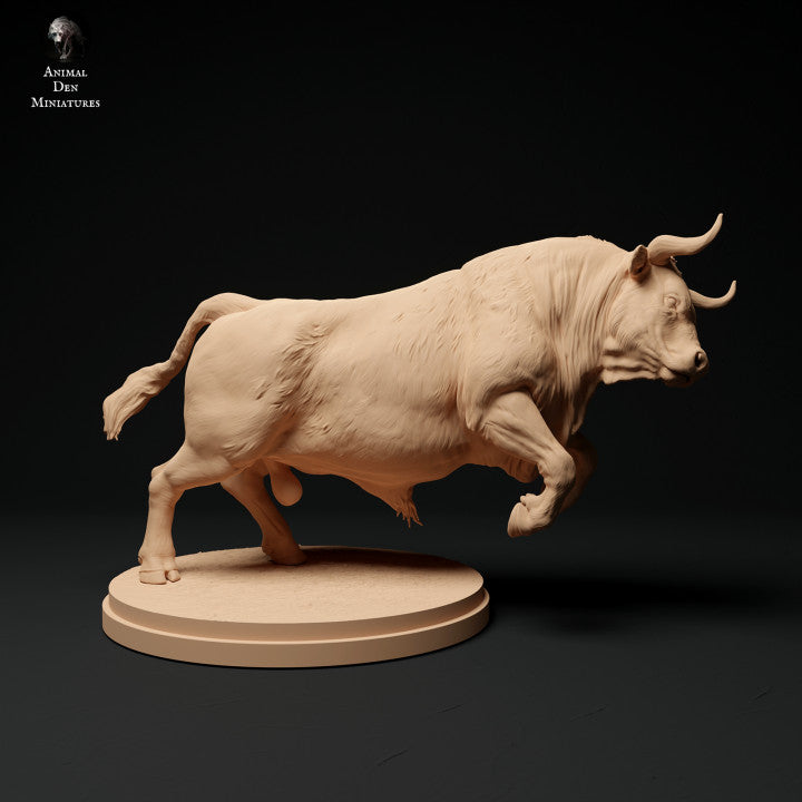 ADM1014 red-devon-bull-charging