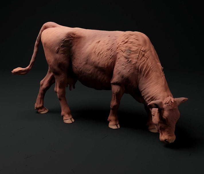 OO Scale Red Devon Cow Grazing x 6