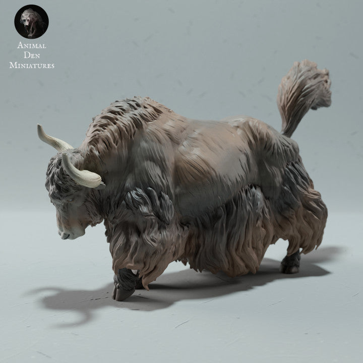 ADM2026 Himalayan Wild Yak Stance