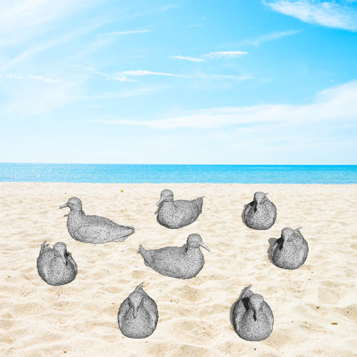 Sitting Sea Gulls X 8 Bird