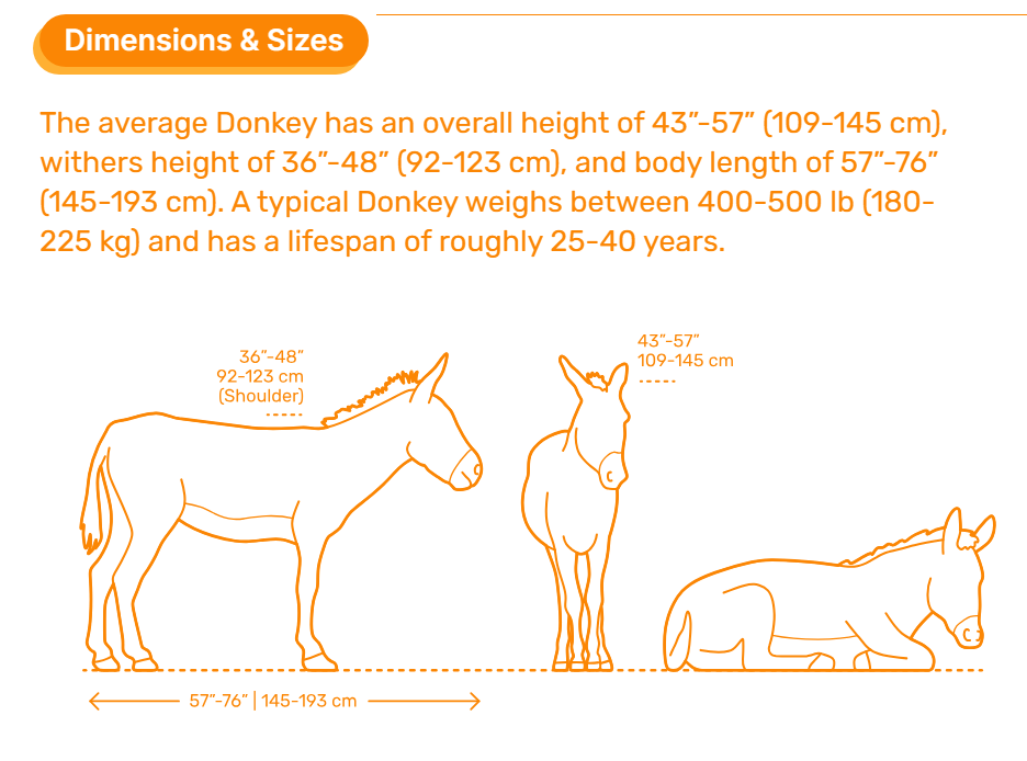 ADM1015 Common-donkey x 2