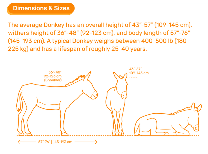 ADM1015 Common-donkey x 2