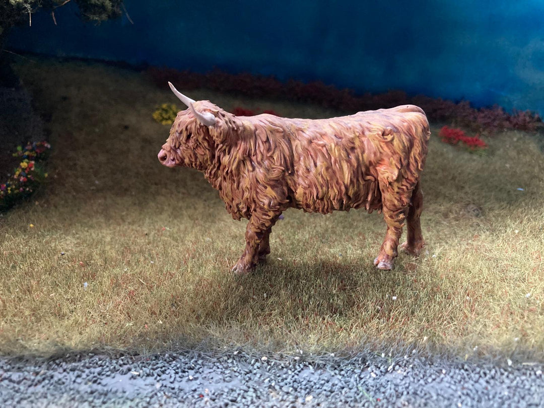 ADM1501 Highland Cow Standing licking nose x 1