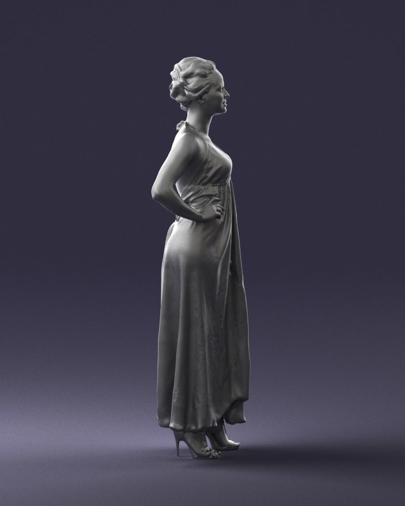 Female In Evening Dress Figure