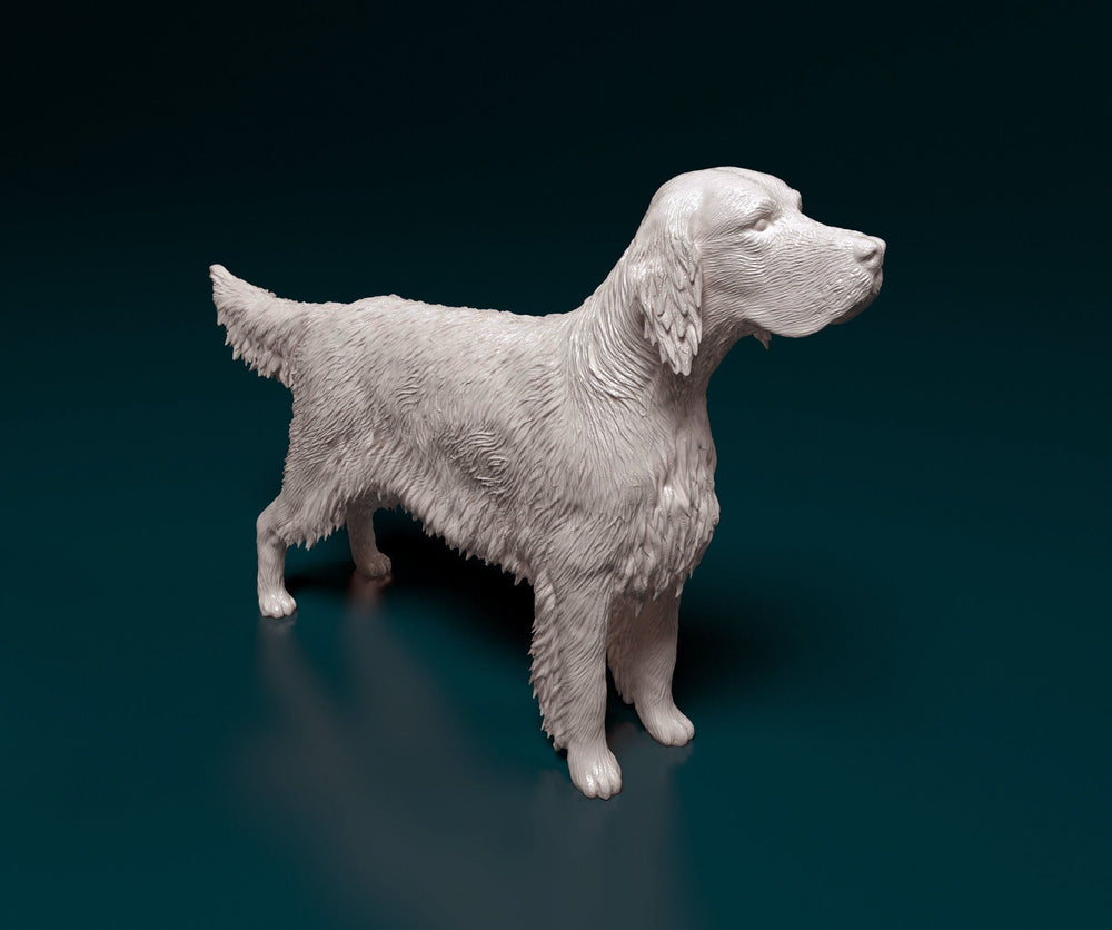 English Setter Standing Dog