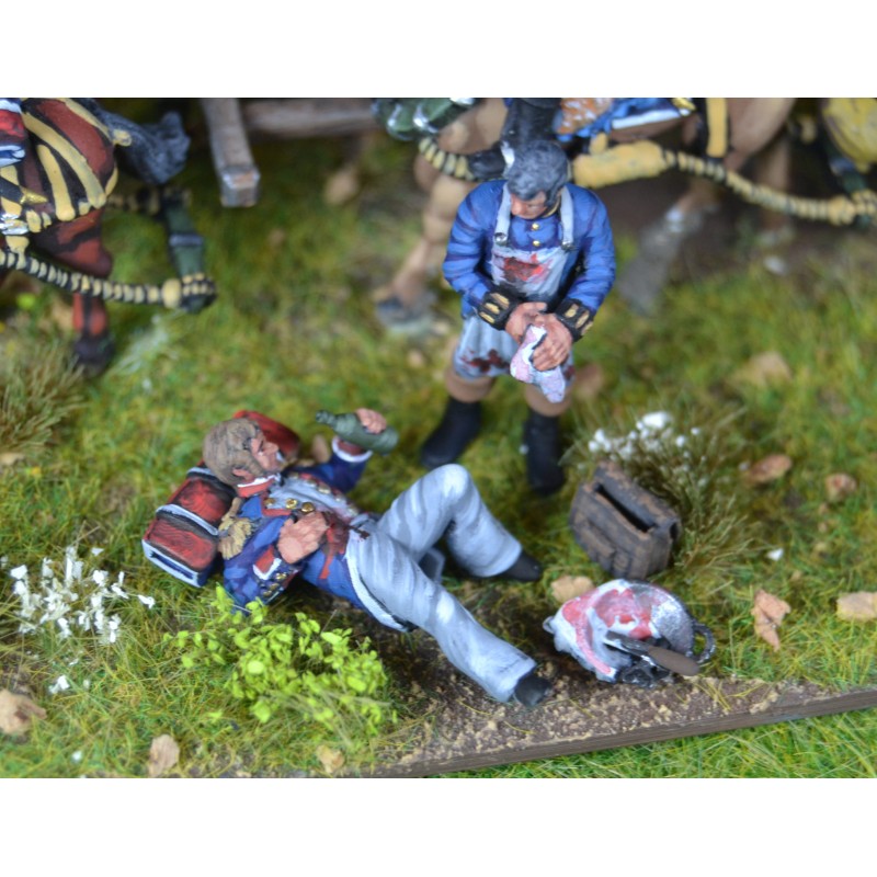 French Napoleonic Ambulance and Figures